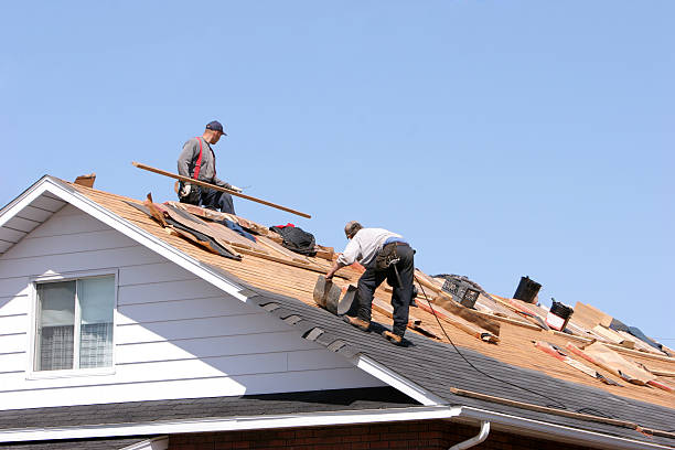 Best Metal Roofing Installation  in Paris, IL