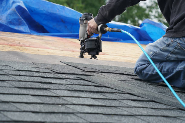Best Rubber Roofing (EPDM, TPO)  in Paris, IL